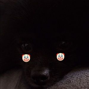 Meet your Posher, Jayda